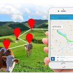 4G Solar GPS Collar Tracker for Livestock & Cattle with 20,000mAh Battery - IP67 Waterproof