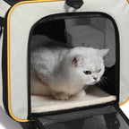 Collapsible Soft-Sided Pet Trolley Carrier with Telescoping Pull Rod & Carry Handles