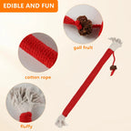6-Pack 7.87" Catnip Chew Rope Cat Toy Set — Interactive Teeth Cleaning & Play Ropes