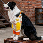 Dog Elbow Brace with Cartoon Pattern (Anti-Lick, Joint Protection, Elastic)
