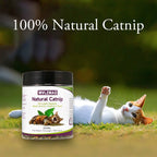 100% Natural Silvervine Catnip — Potent Loose-Leaf Blend, 210ml