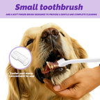 Pet Toothpaste & Toothbrush Set — Chicken-Flavored Plaque & Tartar Control