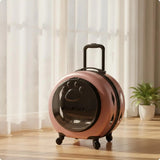 Pet Carrier with Wheels Transparent Pet Carrier Suitcase Hard-Sided Cats, Small Dogs, Travel, Airport, Professional Visits