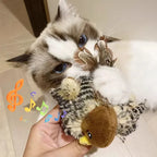 Washable Plush Flying Bird Cat Toy