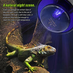 220V UVA+UVB Reptile Basking Lamp — Daylight Heat Bulb for Turtles & Lizards, 25W-100W