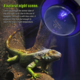 220V UVA+UVB Reptile Basking Lamp — Daylight Heat Bulb for Turtles & Lizards, 25W-100W