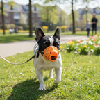 Silicone Dog Muzzle (Breathable Basket, Multi-Size)