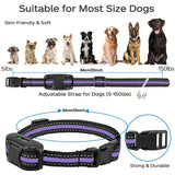 1000M Waterproof Dog Training Collar