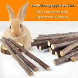 Natural Apple Wood Chew Sticks — Teeth Grinding Sticks for Small Pets