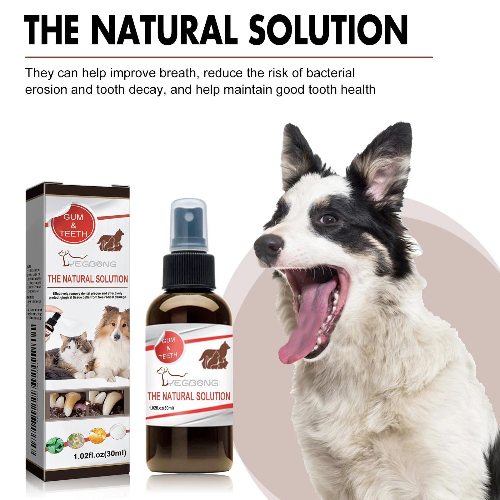 Pet Oral Cleansing Spray — Removes Tartar & Freshens Breath, 30ml