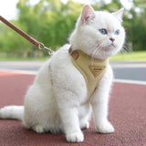 Breathable Harness & Leash Set — For Small Dogs and Cats