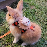 Guinea Pig & Rabbit Harness Set — Breakaway Walking Leash