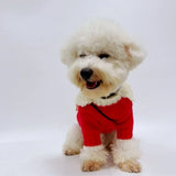Christmas Princess Sweater Dress for Cats (Knitted Apparel)