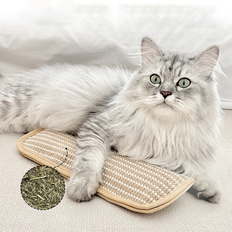 Catnip Sisal Scratching Pillow Chew Toy — Bite-Resistant Claw Grinding & Play Toy for Cats