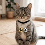 Gold & Silver Pet Collar Charms 2-Pack (Polished, Long-Lasting, Cat & Dog)