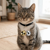 Gold & Silver Pet Collar Charms 2-Pack (Polished, Long-Lasting, Cat & Dog)