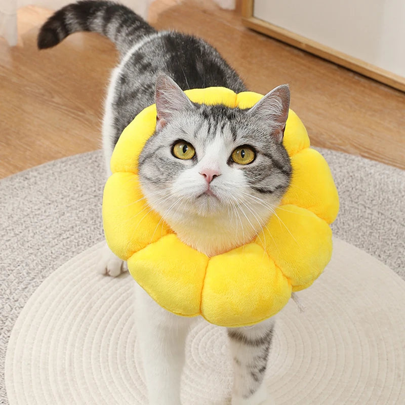 Sunflower Soft Recovery Collar for Pets