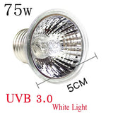 UVA/UVB Reptile Basking Bulb — Heat Lamp for Turtles & Lizards, 25W–75W