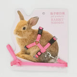 Soft Rabbit Harness & Leash Set — Adjustable Traction Rope with Bell