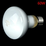 UVA Daylight Heating Bulb for Reptiles — Waterproof, 25W-100W