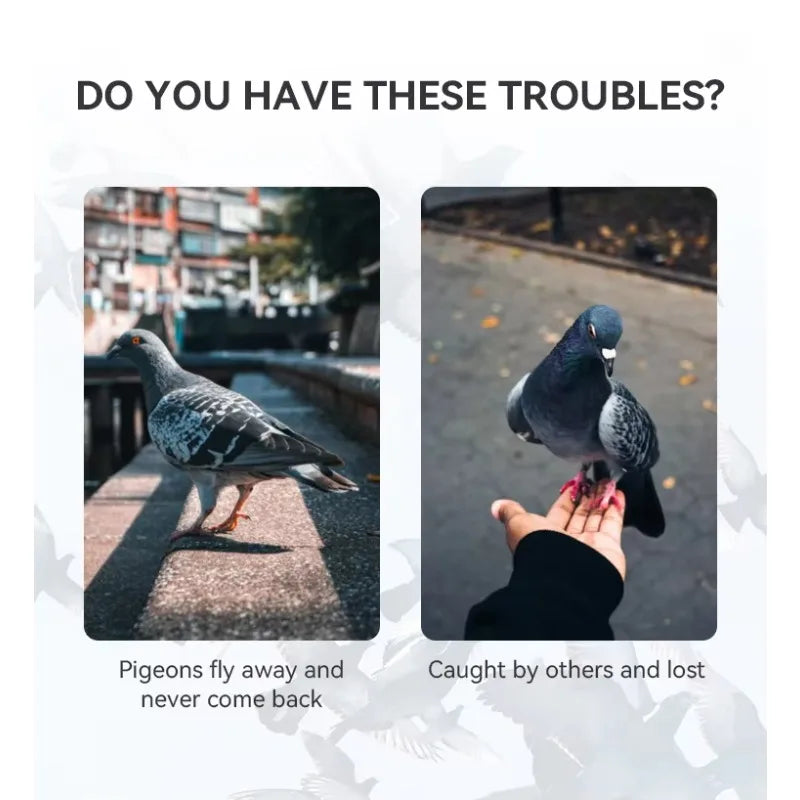 Pigeon GPS Racing Tracker Ring - Real-Time Electronic Positioning for Racing Birds