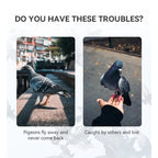 Pigeon GPS Racing Tracker Ring - Real-Time Electronic Positioning for Racing Birds
