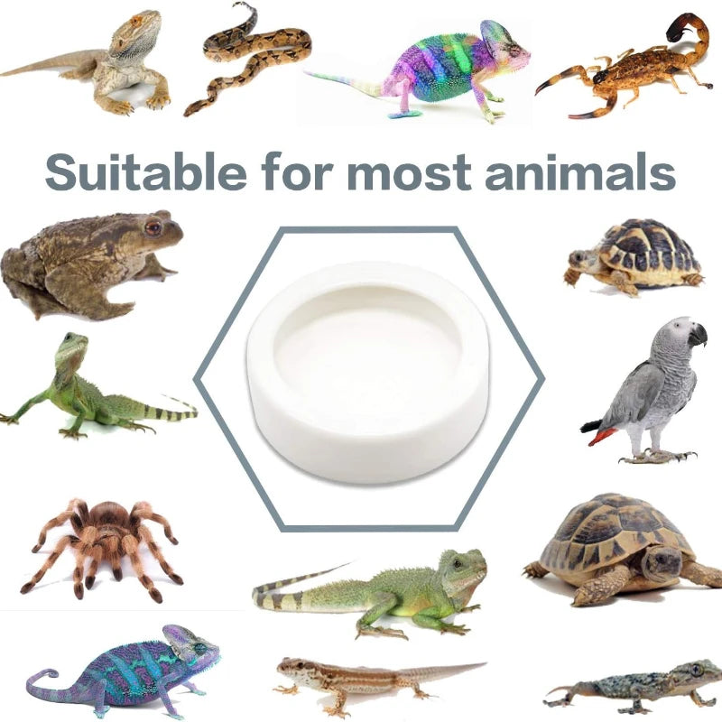 Anti-Escape Ceramic Feeder Dish — Worm-Proof Bowl for Geckos & Small Reptiles