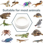 Anti-Escape Ceramic Feeder Dish — Worm-Proof Bowl for Geckos & Small Reptiles