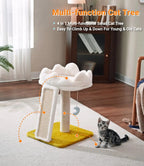 Cat Tree with Cloud Bed & Scratching Post + Catnip