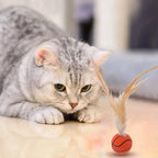 Feather Bouncy Ball Cat Toy — Indoor High-Rebound Flutter Ball for Self-Play