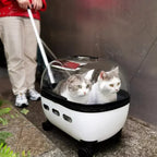 Transparent Window Foldable Pet Stroller Trolley for Dogs & Cats — Lightweight Compact Wheeled Travel Carrier