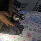 Veterinary Anesthesia Mask for Dogs & Cats