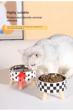 Raised Stainless Steel Pet Feeder Bowl
