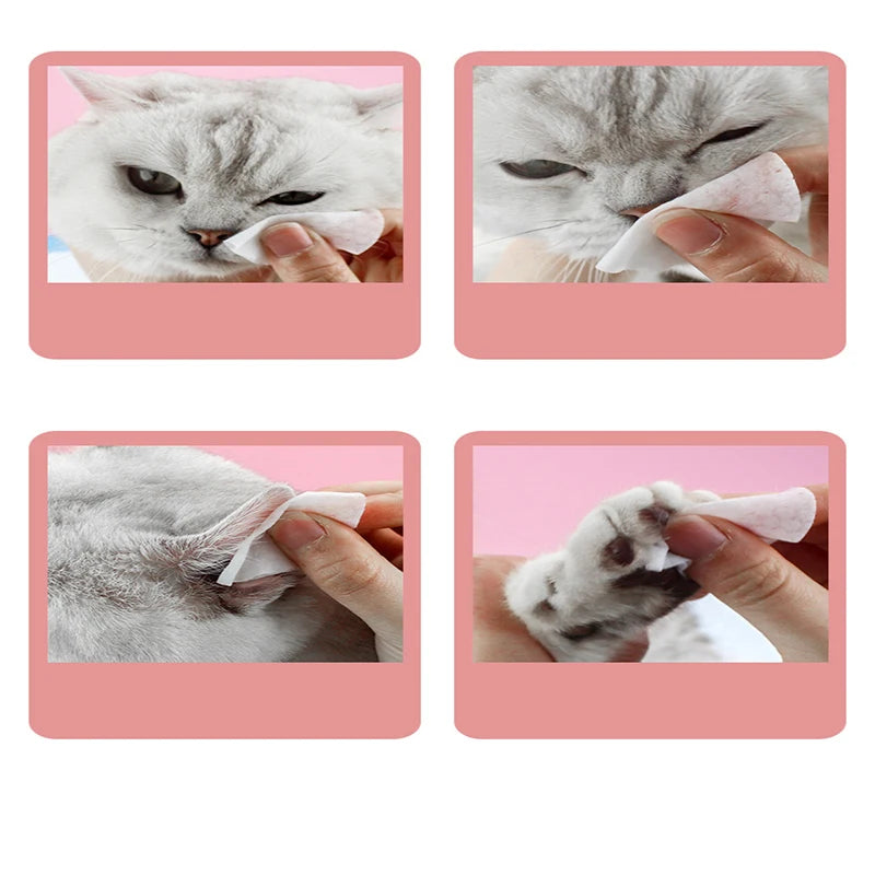 Pet Tear Stain Eye Wipes — Natural Extract Cleaning Wipes, 120pcs