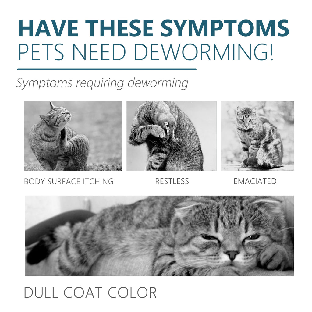 Cat Flea & Tick Spot-On Drops — Natural Anti-Itch Formula, 50ml