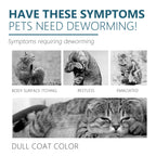 Cat Flea & Tick Spot-On Drops — Natural Anti-Itch Formula, 50ml