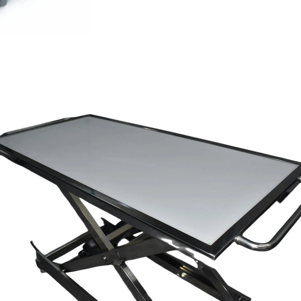 Veterinary Pet Stretcher & Multipurpose Examination Table