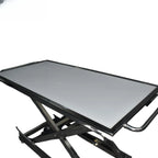 Veterinary Pet Stretcher & Multipurpose Examination Table