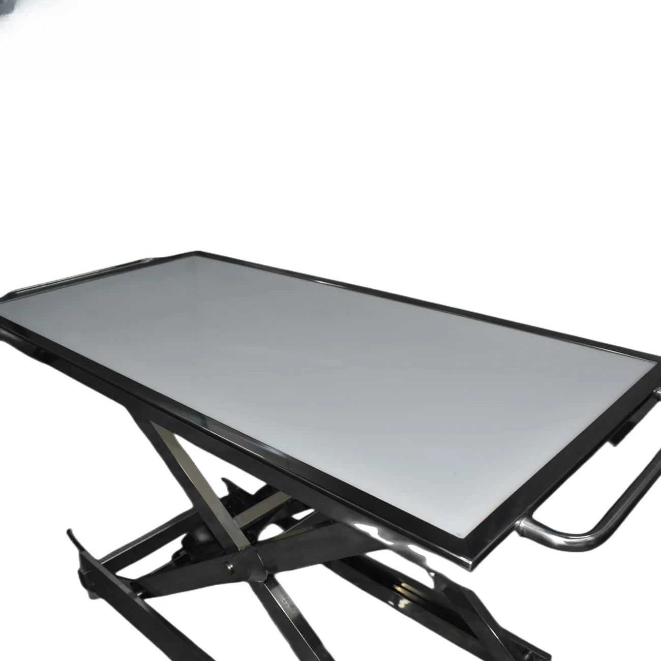 Veterinary Pet Stretcher & Multipurpose Examination Table