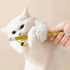 6-Pack 7.87" Catnip Chew Rope Cat Toy Set — Interactive Teeth Cleaning & Play Ropes