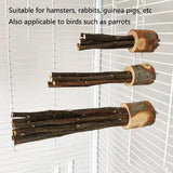 Natural Apple Wood Perch — Chew-Safe Branch Stand for Birds & Small Pets
