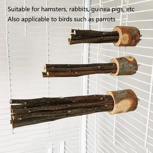 Natural Apple Wood Perch — Chew-Safe Branch Stand for Birds & Small Pets