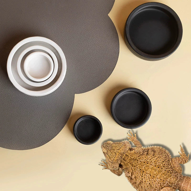 Anti-Escape Ceramic Reptile Feeder Dish — For Geckos, Snakes & Crawling Insects