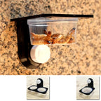 Suction-Mount Reptile Feeder & Water Bowl — Space-Saving Terrarium Dish