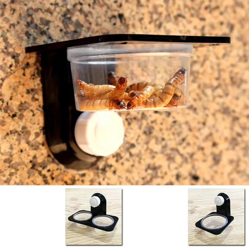 Suction-Mount Reptile Feeder & Water Bowl — Space-Saving Terrarium Dish