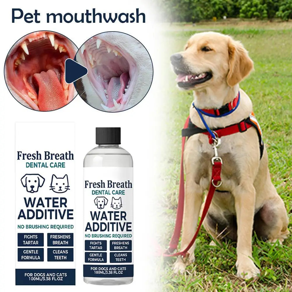 No-Brushing Pet Dental Water Additive — Fresh Breath & Tartar Control, 100ml