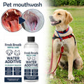 No-Brushing Pet Dental Water Additive — Fresh Breath & Tartar Control, 100ml