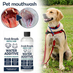 No-Brushing Pet Dental Water Additive — Fresh Breath & Tartar Control, 100ml