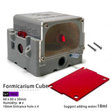 Modular Formicarium Ant Farm — Expandable Ant Keeping System