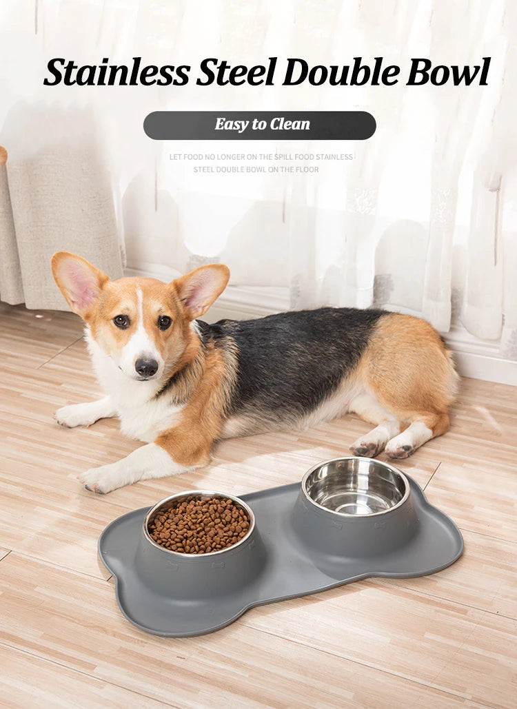 Stainless Steel Double Pet Bowl Set